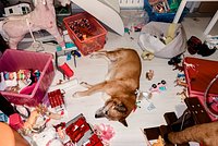 Психология беспорядка. О каких расстройствах может говорить бардак в доме и стоит ли его стесняться?