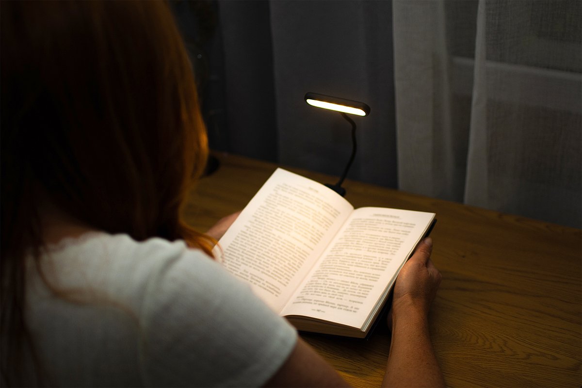 Идеи новогодних подарков для любителей читать