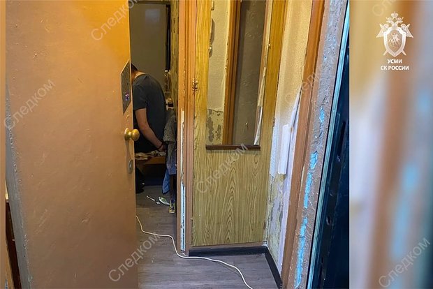 Вводная картинка