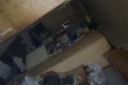 Москвичи пожаловались на зловонную квартиру-свалку с телами животных и тараканами