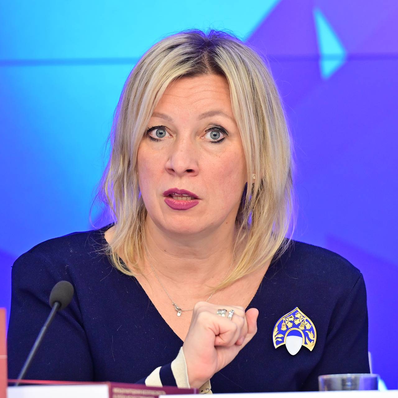 Захарова прокомментировала реакцию Запада на гибель детей в Иране