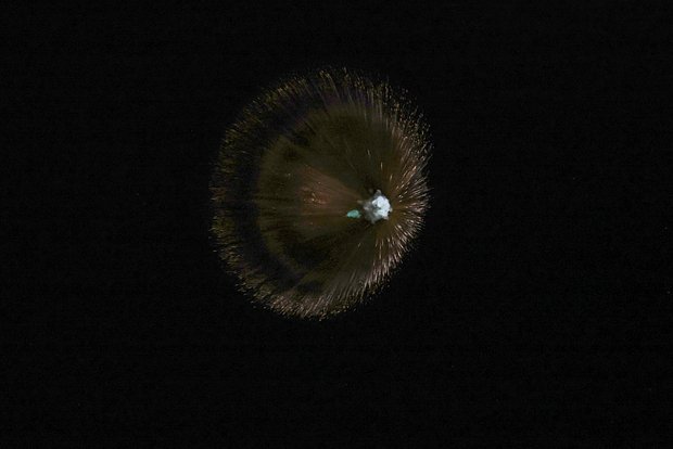 Вводная картинка