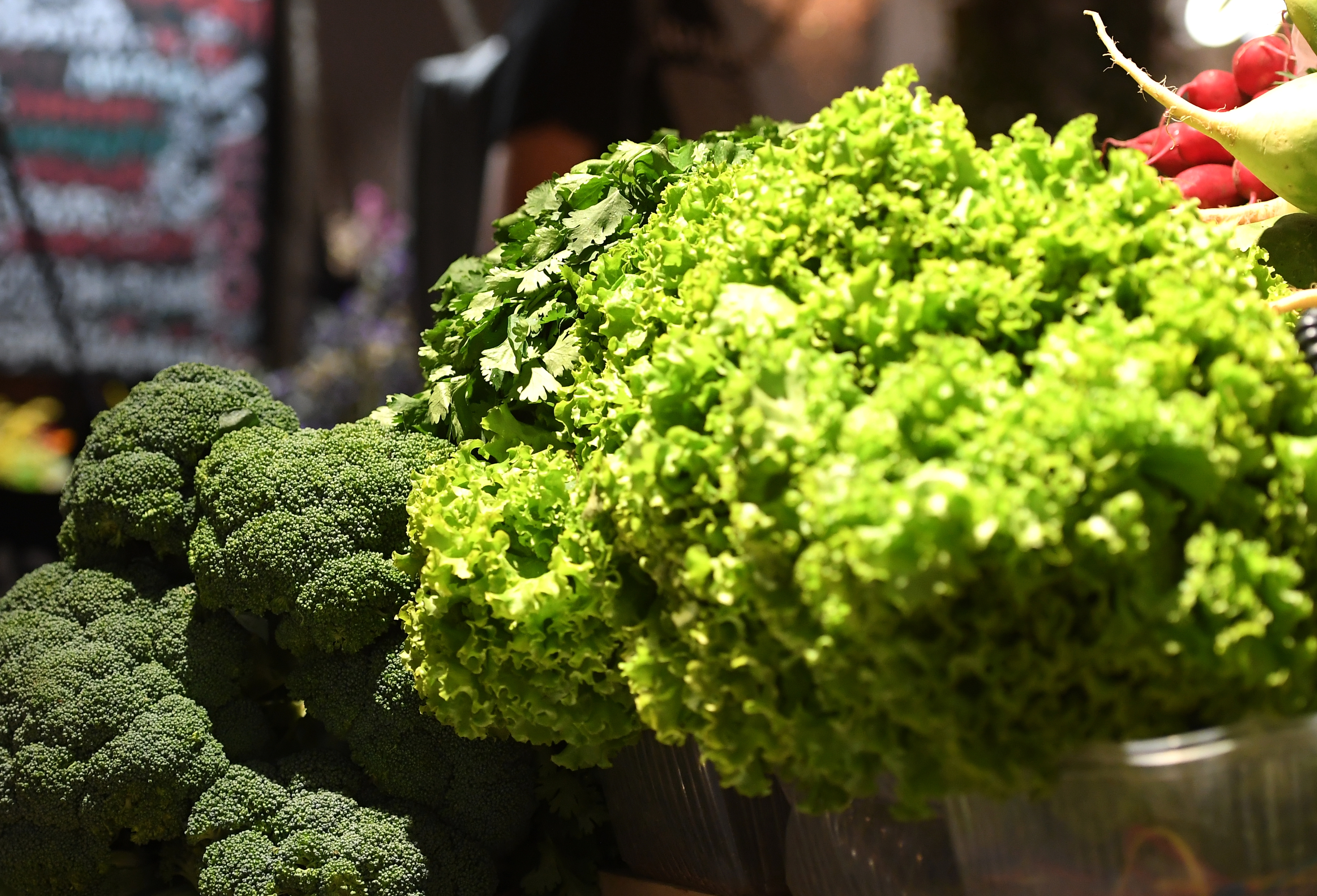 ����������&nbsp; ����� ��������� ����������� �� ��������-���������� �����������