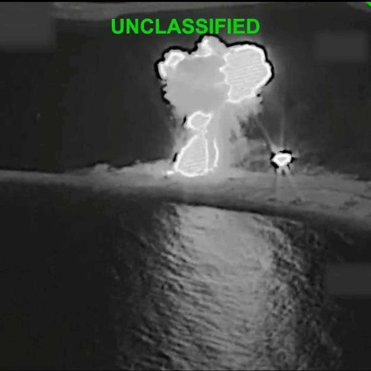 В США сделали громкое заявление о флоте Ирана в Оманском заливе