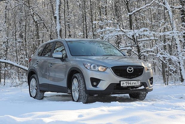 Вводная картинка