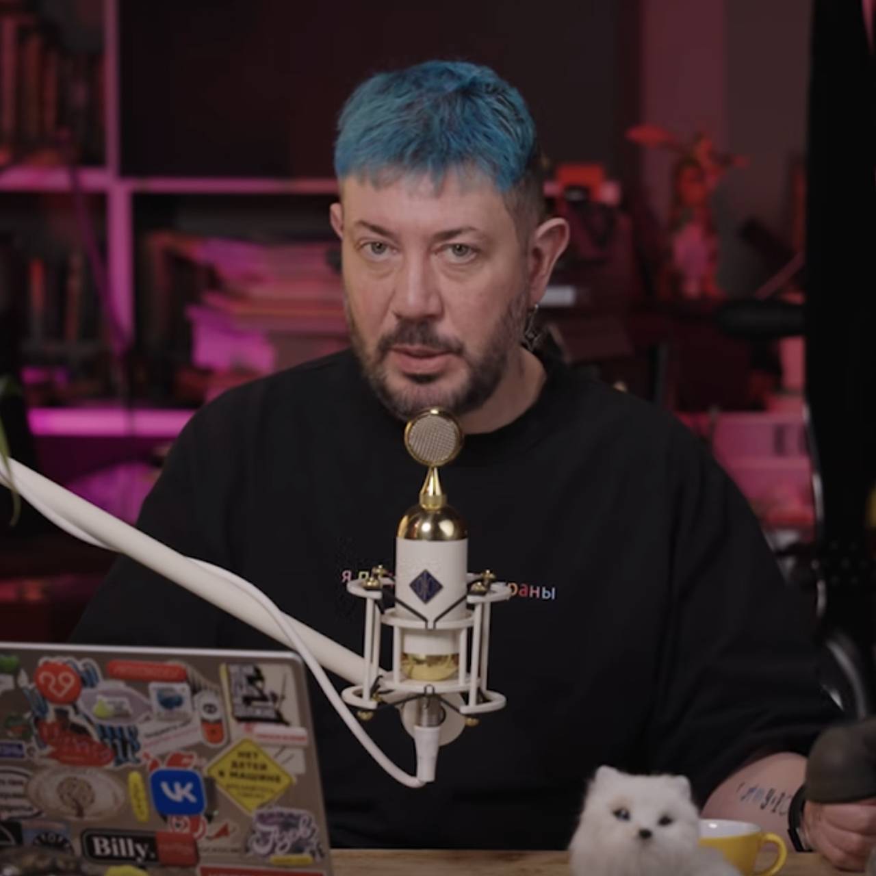 Фото: Артемий Лебедев / VKvideo