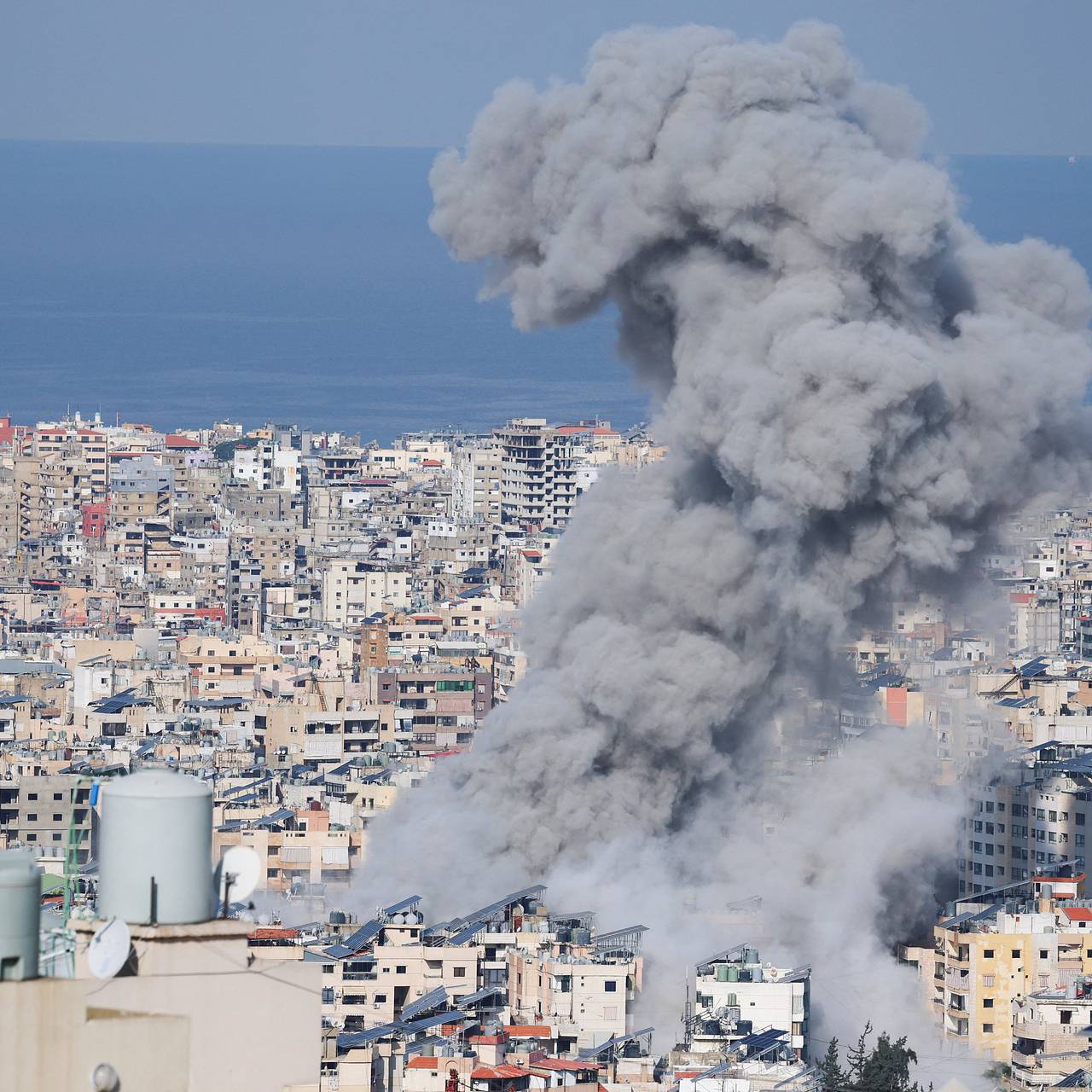 Фото: Claudia Greco / Reuters