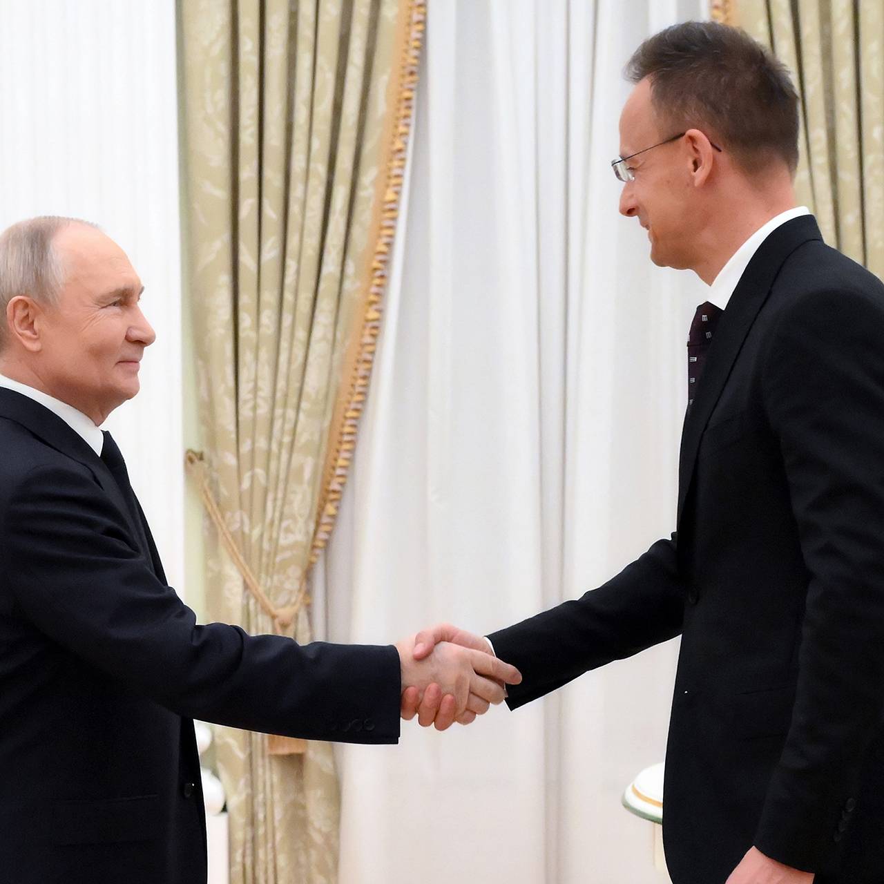 Владимир Путин и Петер Сиярто. Фото: Григорий Сысоев / РИА Новости