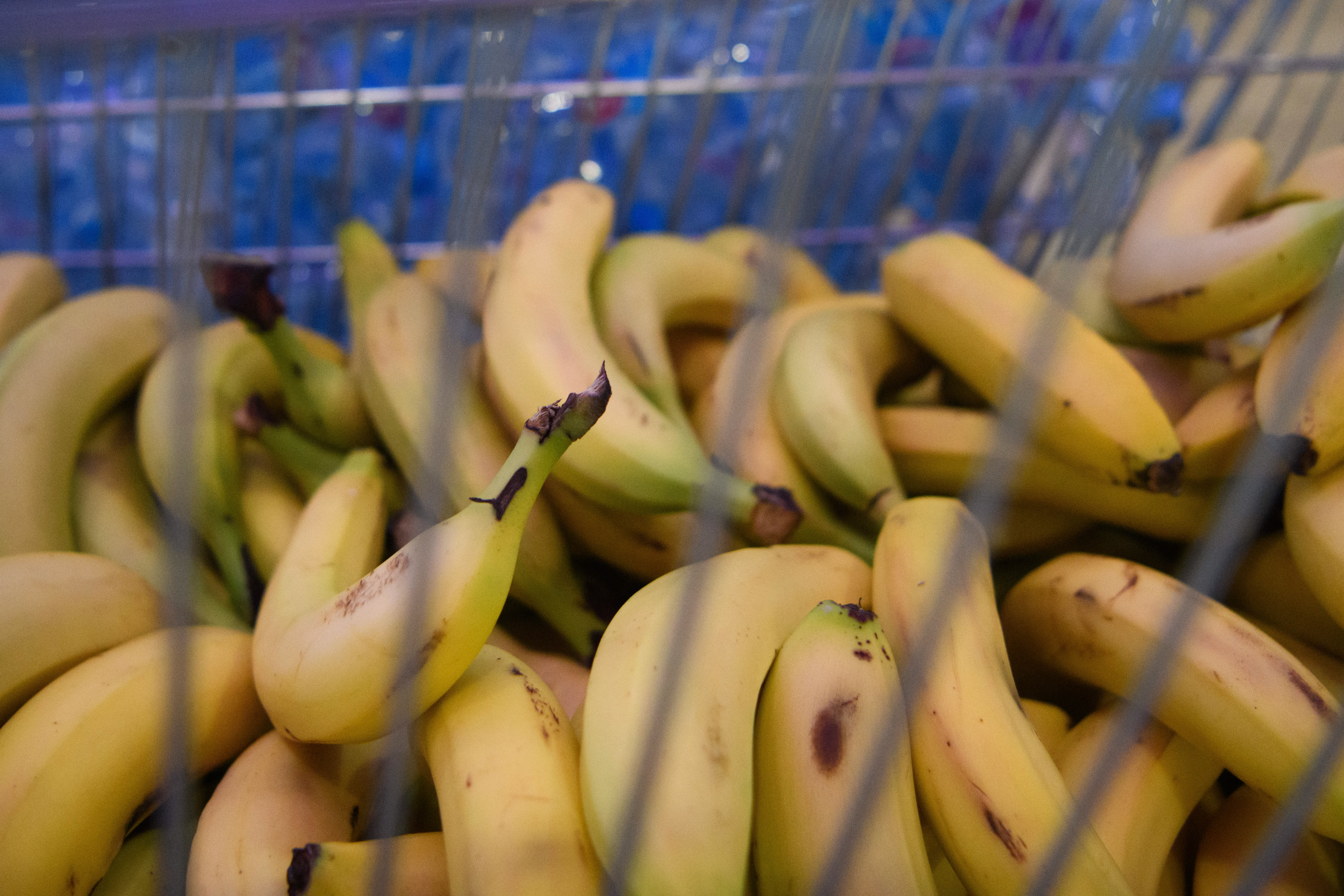 ����&nbsp; ������� ������ ��������� ����������� ������