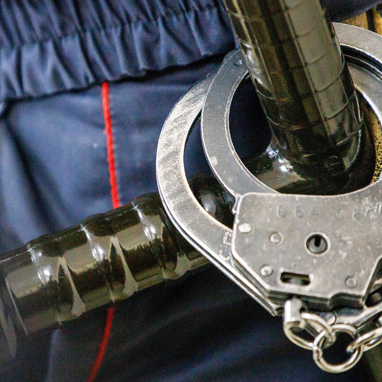 Полиция на ходу прыгнула в машину для задержания россиянки