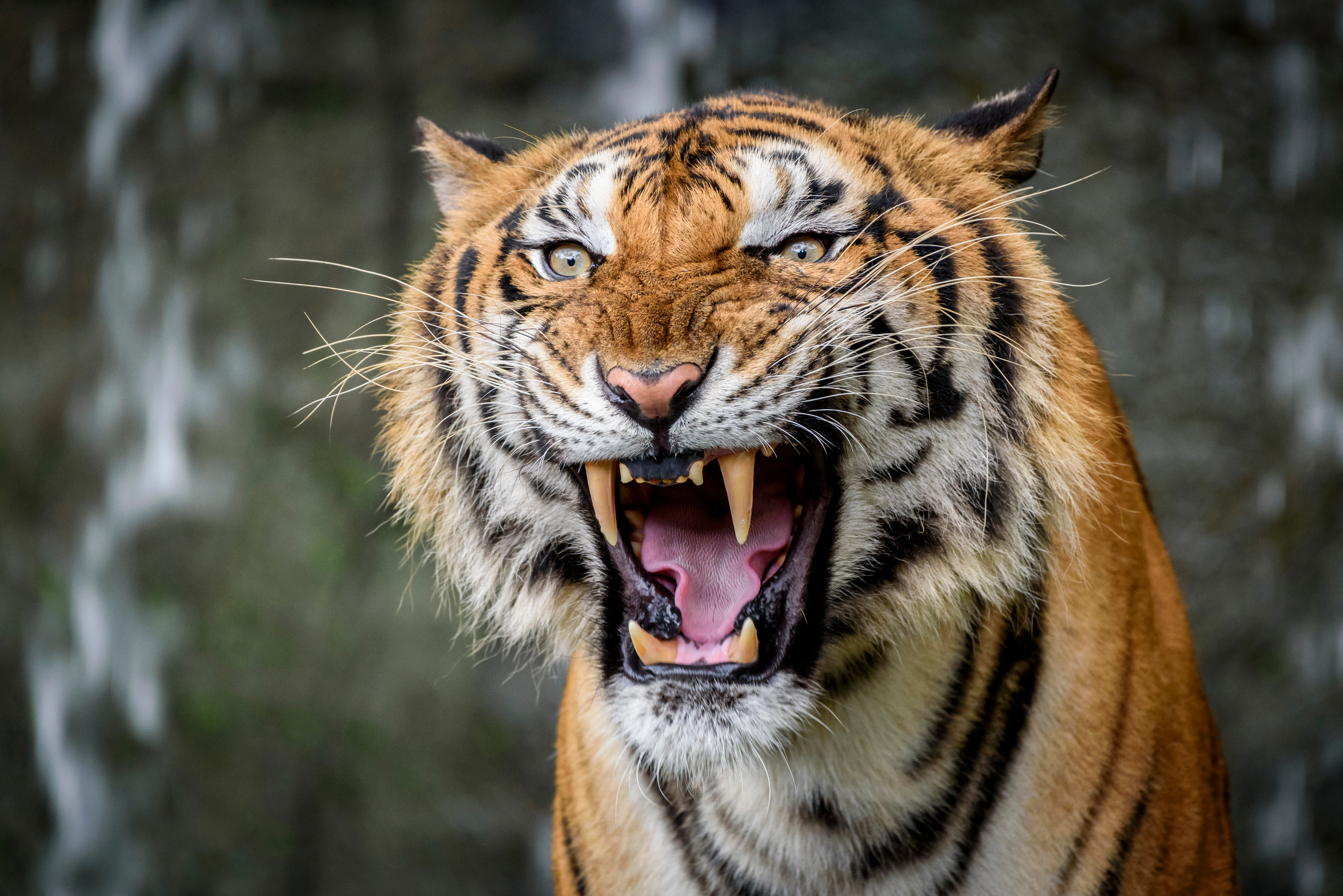 ����&nbsp; ��������� �������� � �����������