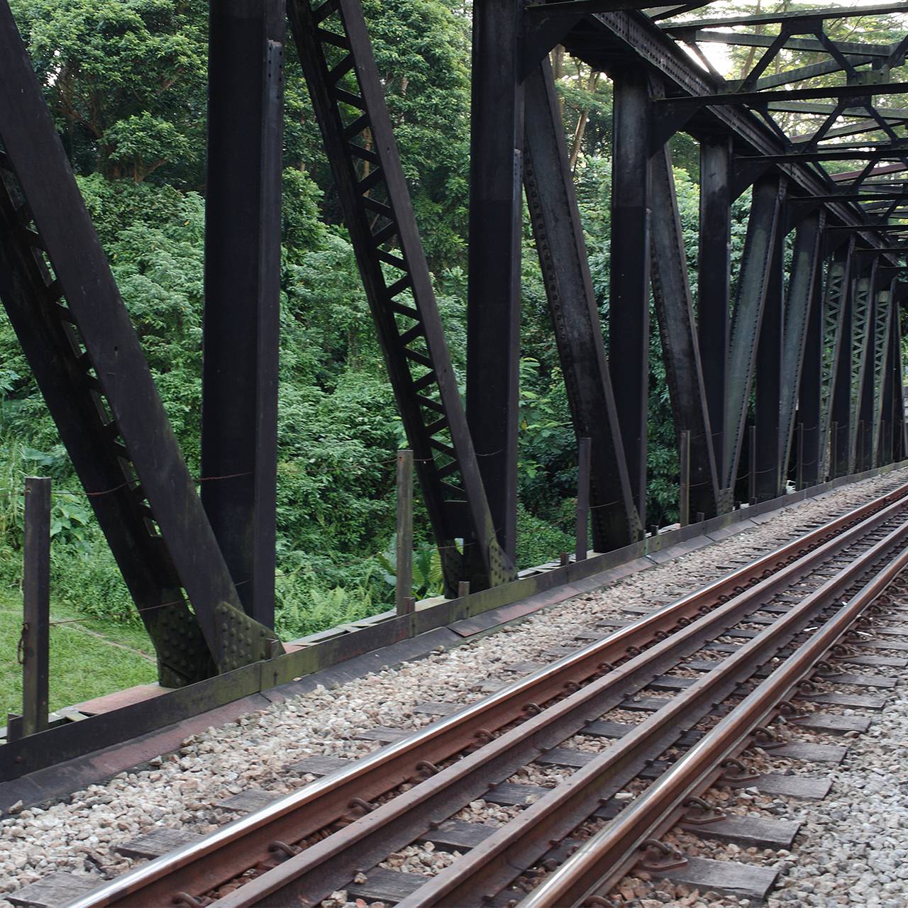 Жители деревни остановили поезд с отказавшими тормозами и спасли учителей