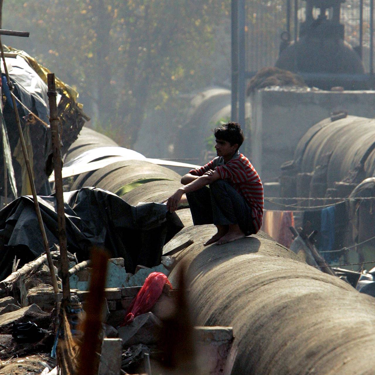 Российский телеведущий пожаловался на испражняющихся на улицах одной страны людей
