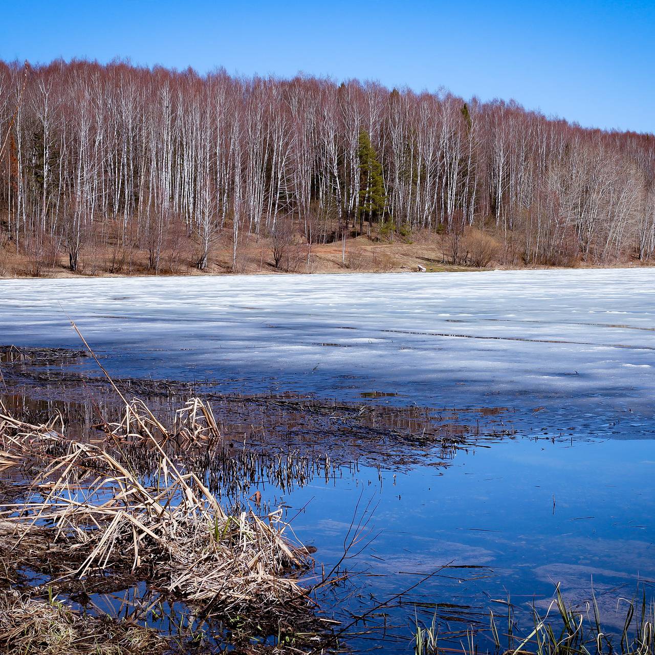 Россиянам назвали безопасную толщину льда