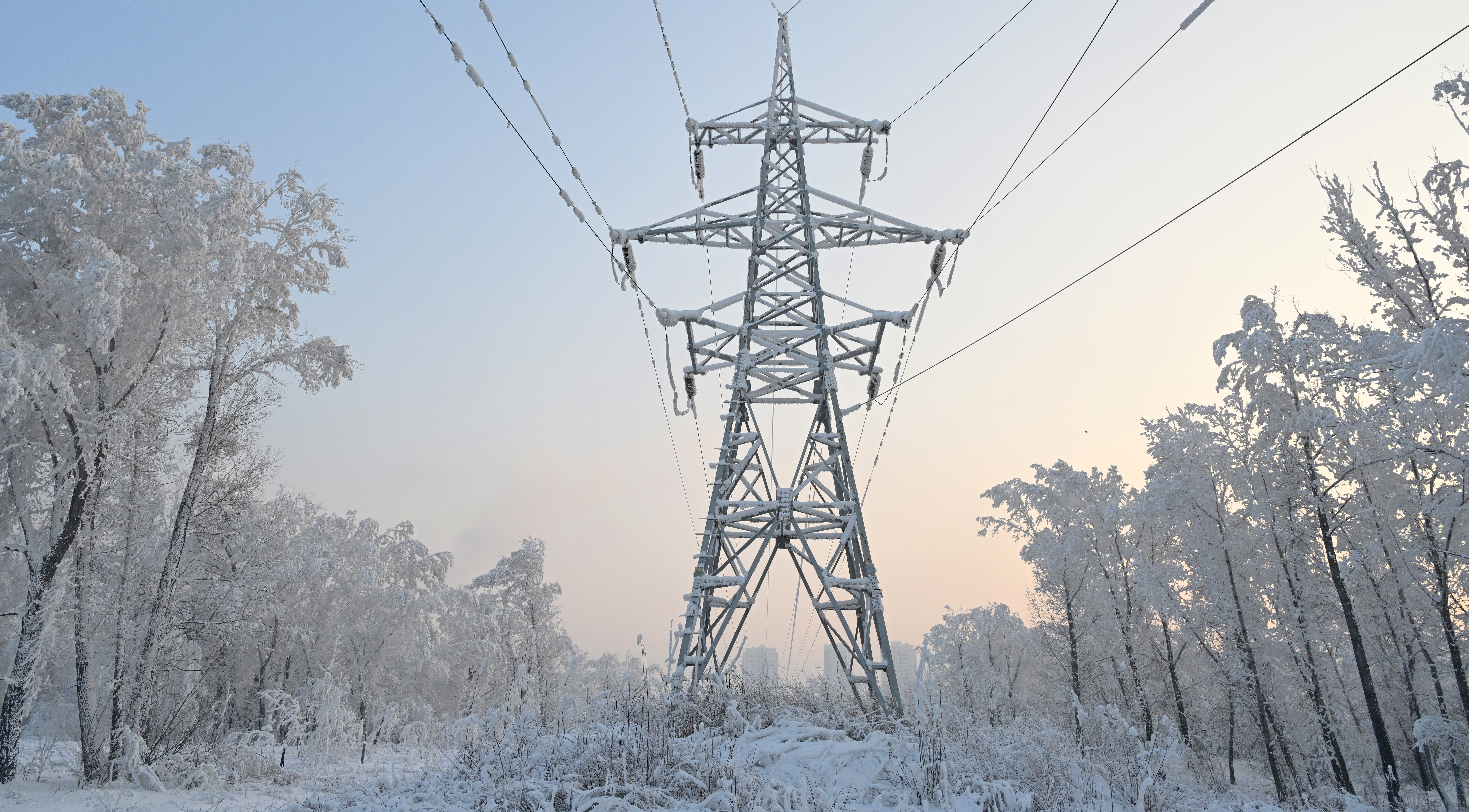 �&nbsp; ������ ��������� ������� ����� ����������� ��� �����������