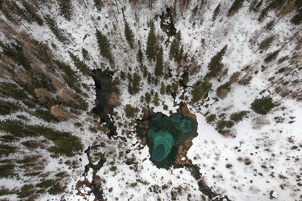 Вводная картинка