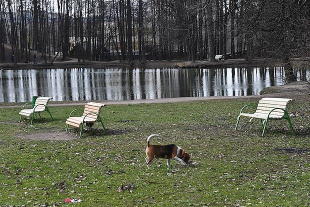 Вводная картинка