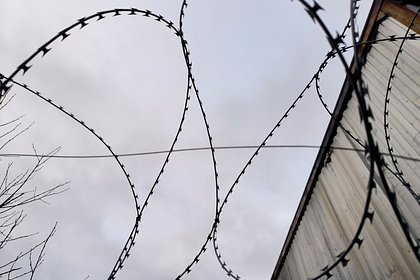 Продюсера Газманова арестовали за мошенничество