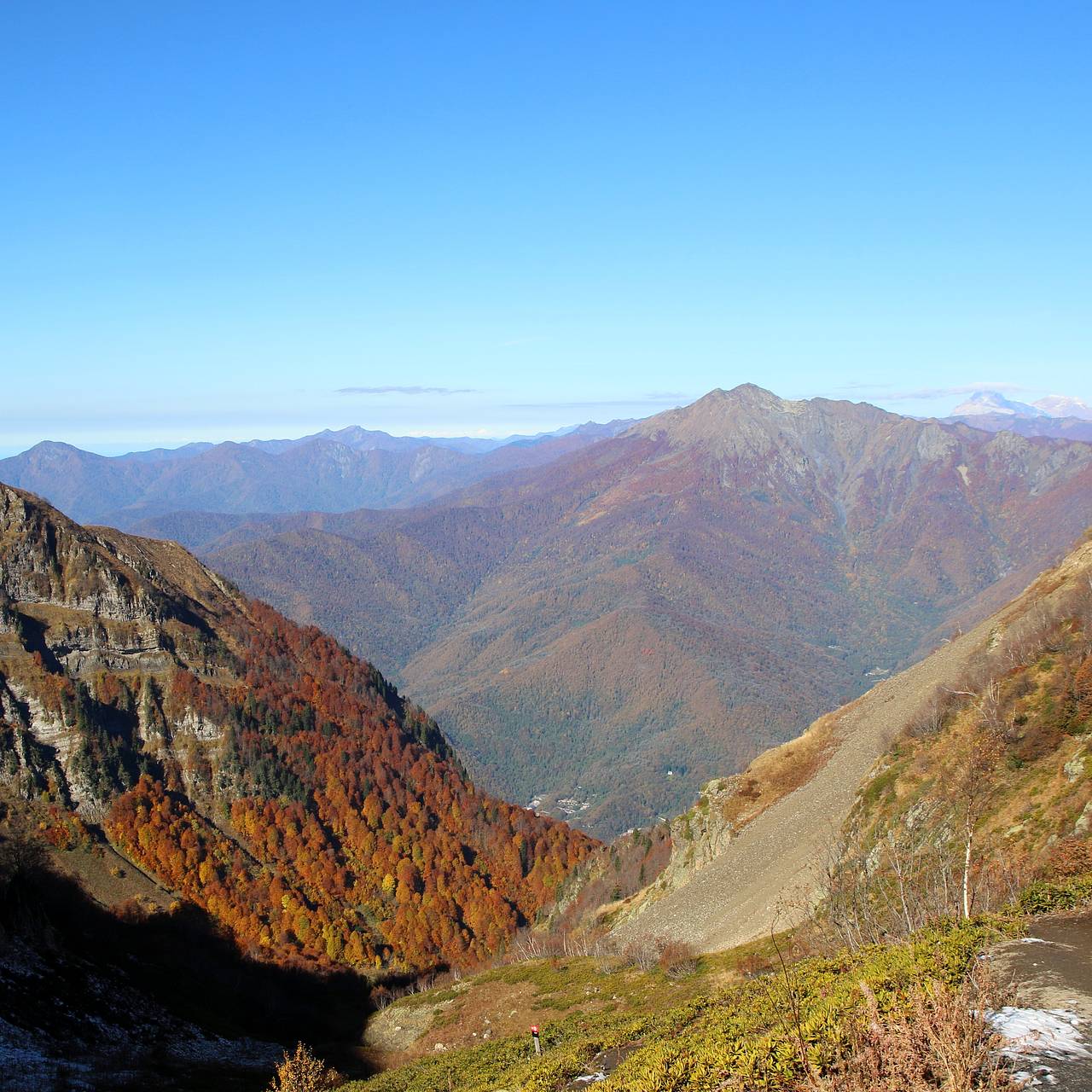 Сейсмолог допустила сильное землетрясение в Сочи в обозримом будущем