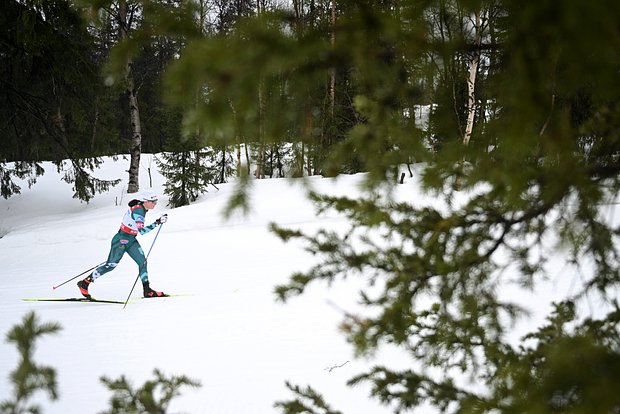 Алина Кудисова