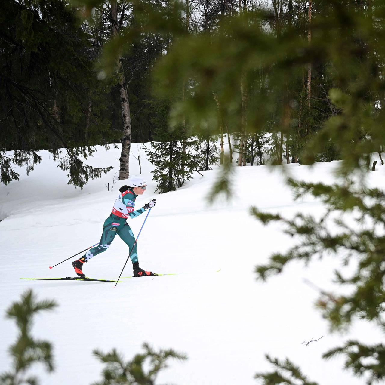 Собака выбежала на трассу и сбила двух лыжниц на чемпионате России