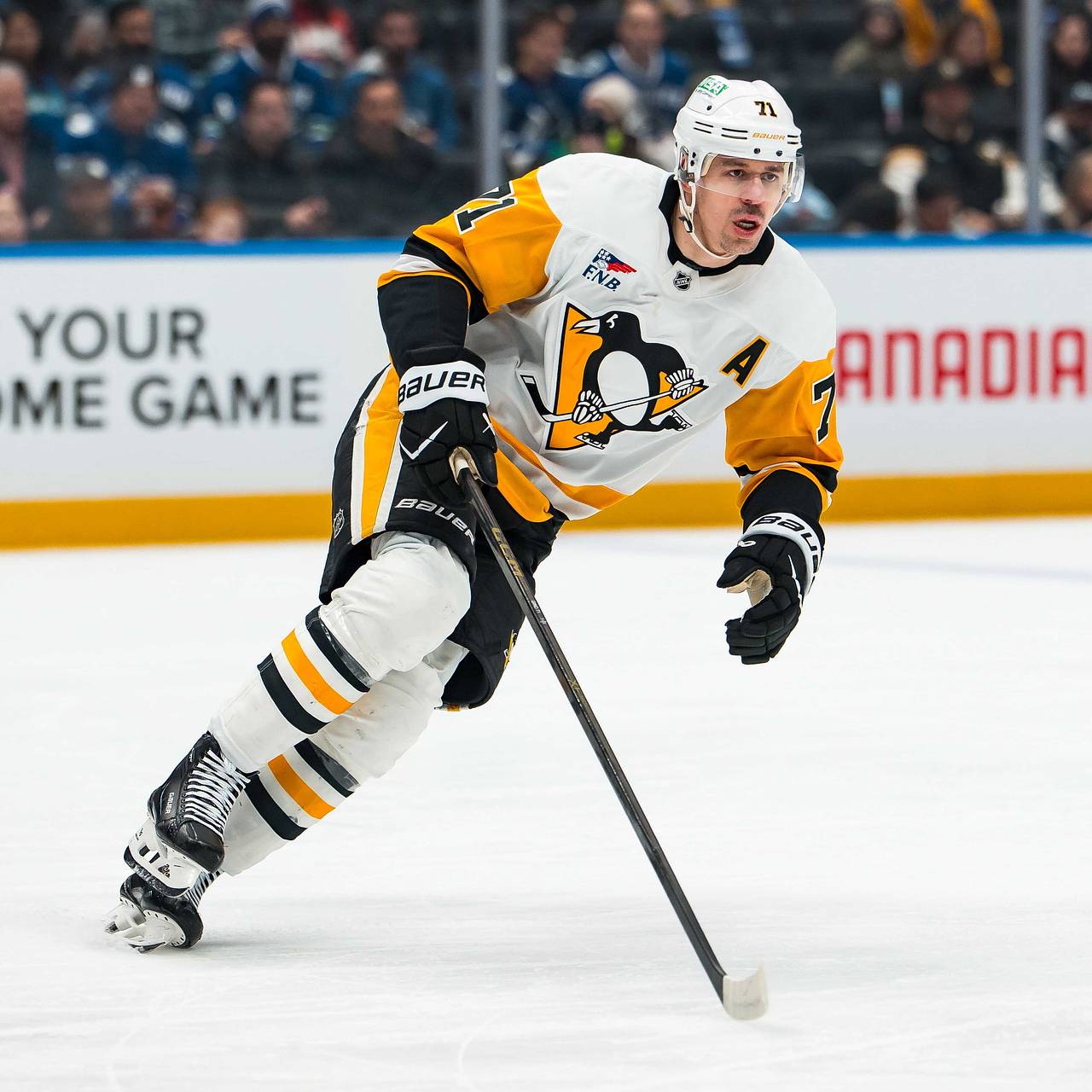 НХЛ дисквалифицировала Малкина