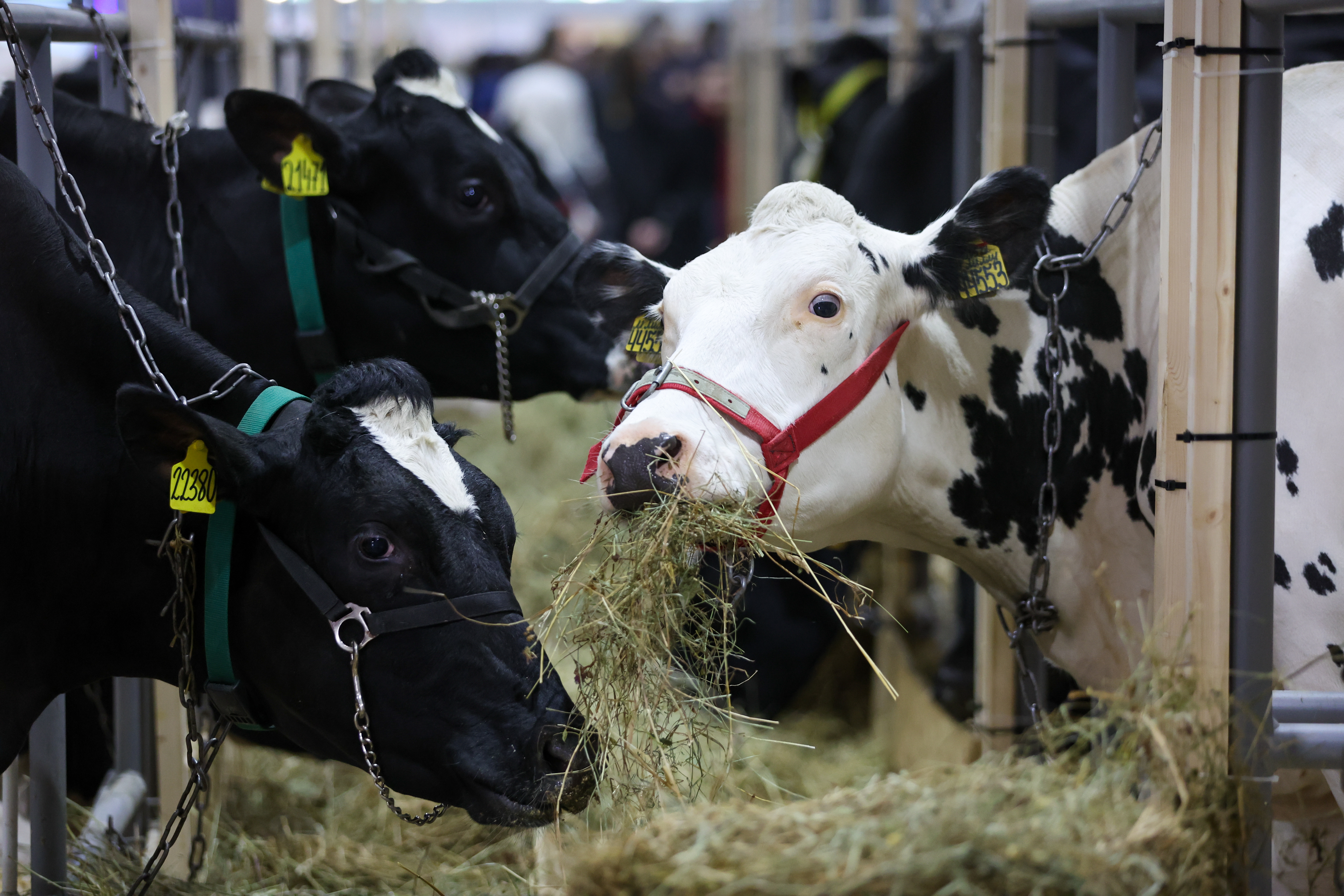 �&nbsp; ��������� �������� ���������� ����� ����� ��-�� �������