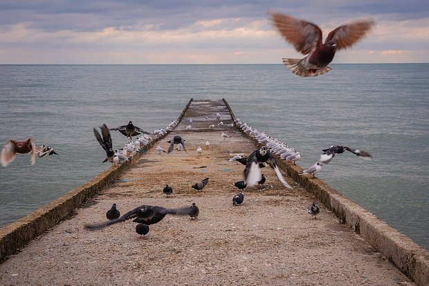 Вводная картинка