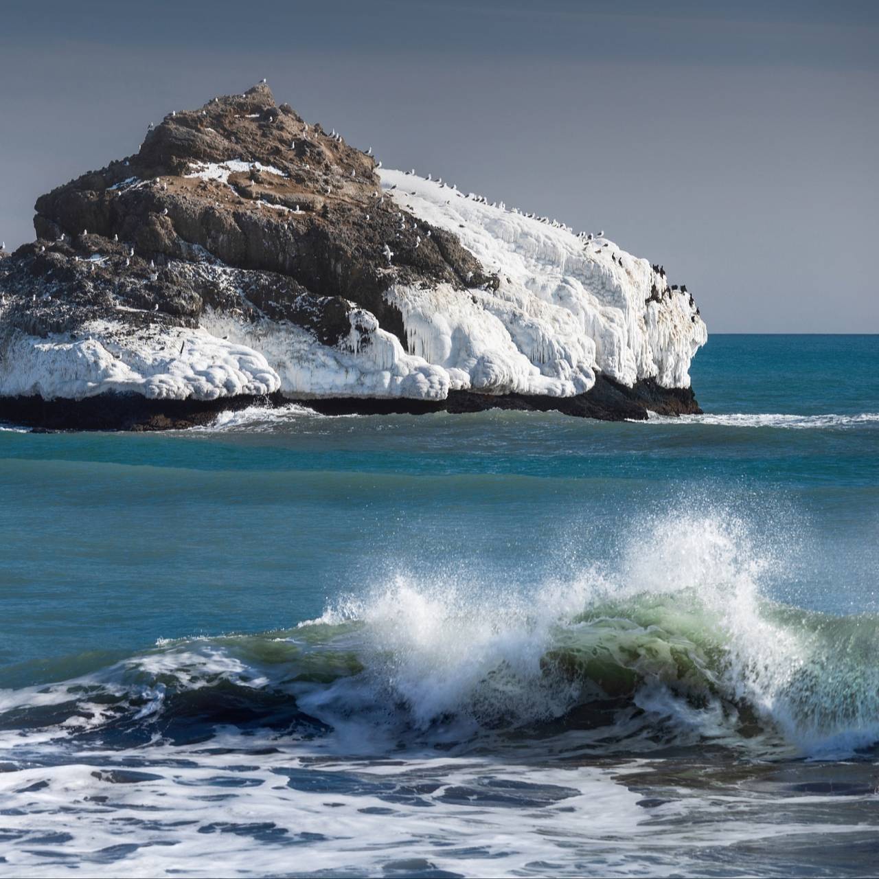 У побережья Камчатки произошло землетрясение