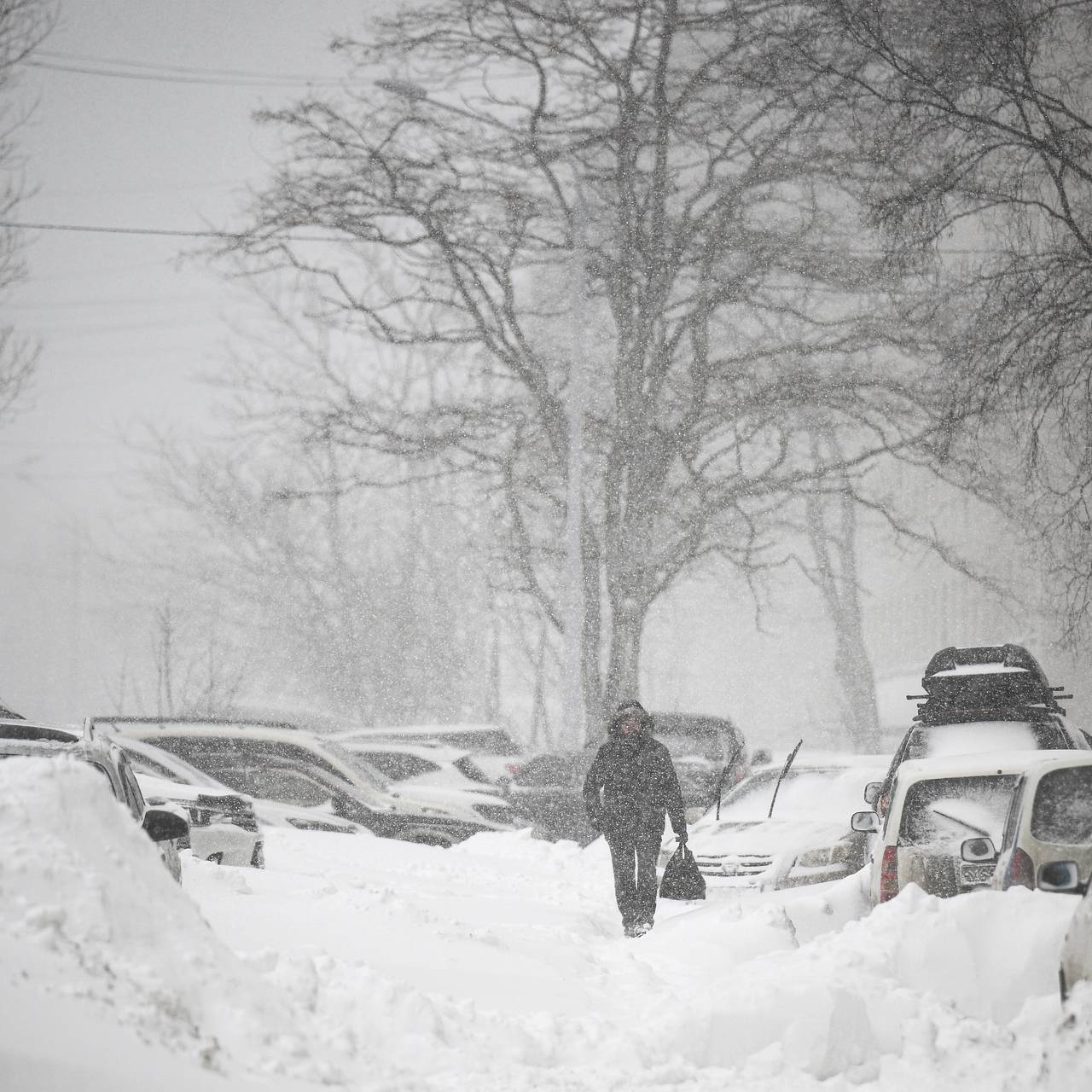 В российский регион в марте придет 30-градусный мороз