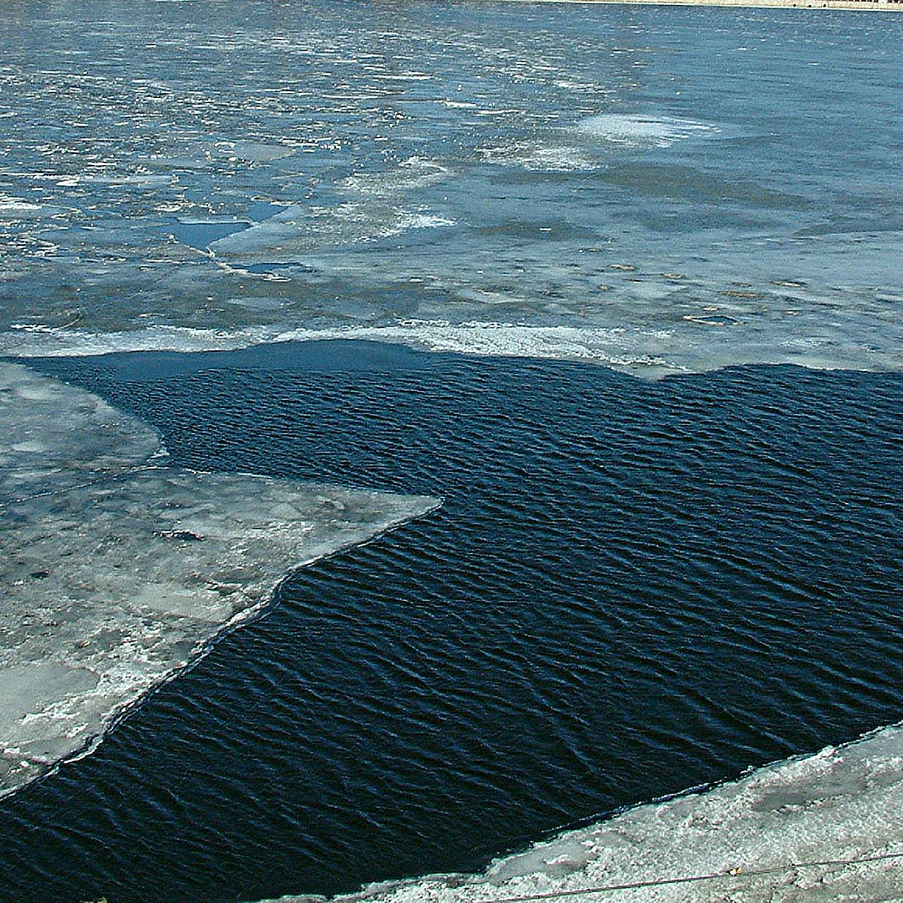 Названы сложности при поиске пропавших в Подмосковье детей