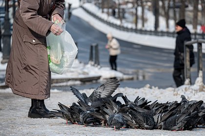 Россиян призвали не кидать объедки