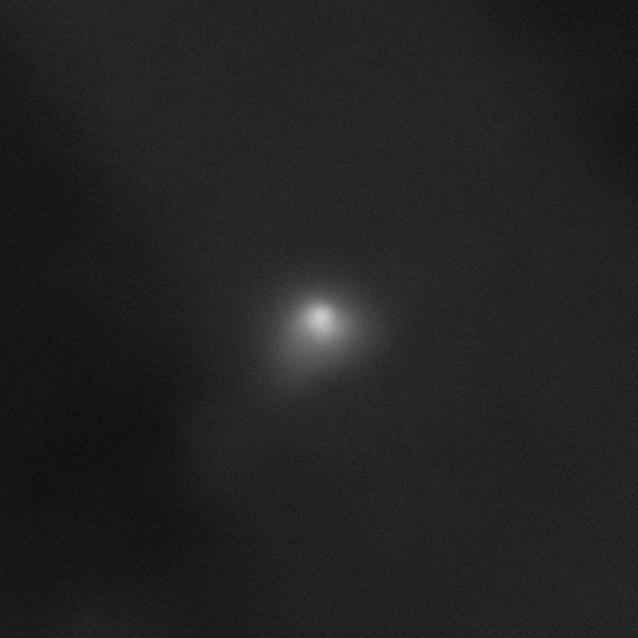 &laquo;Инопланетный корабль&raquo; признали &laquo;черным лебедем&raquo; человечества