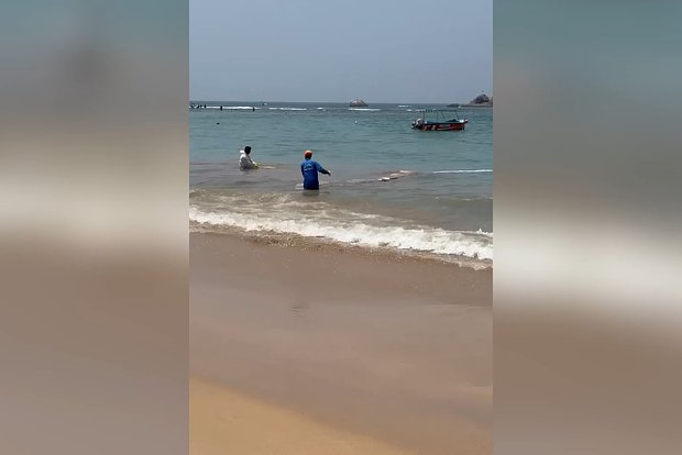 Вводная картинка