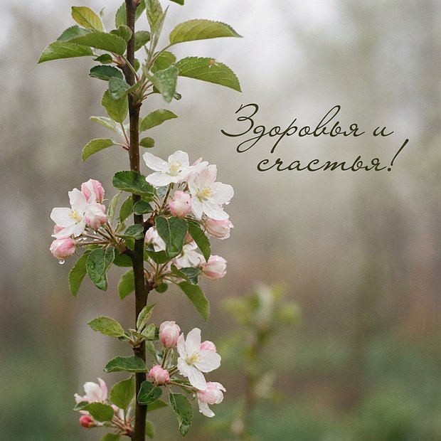 Красивая открытка с пожеланием здоровья и добра
