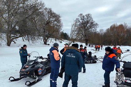 Ход поиска пропавших в Подмосковье три дня назад детей оценили