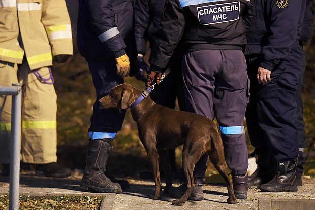 Вводная картинка