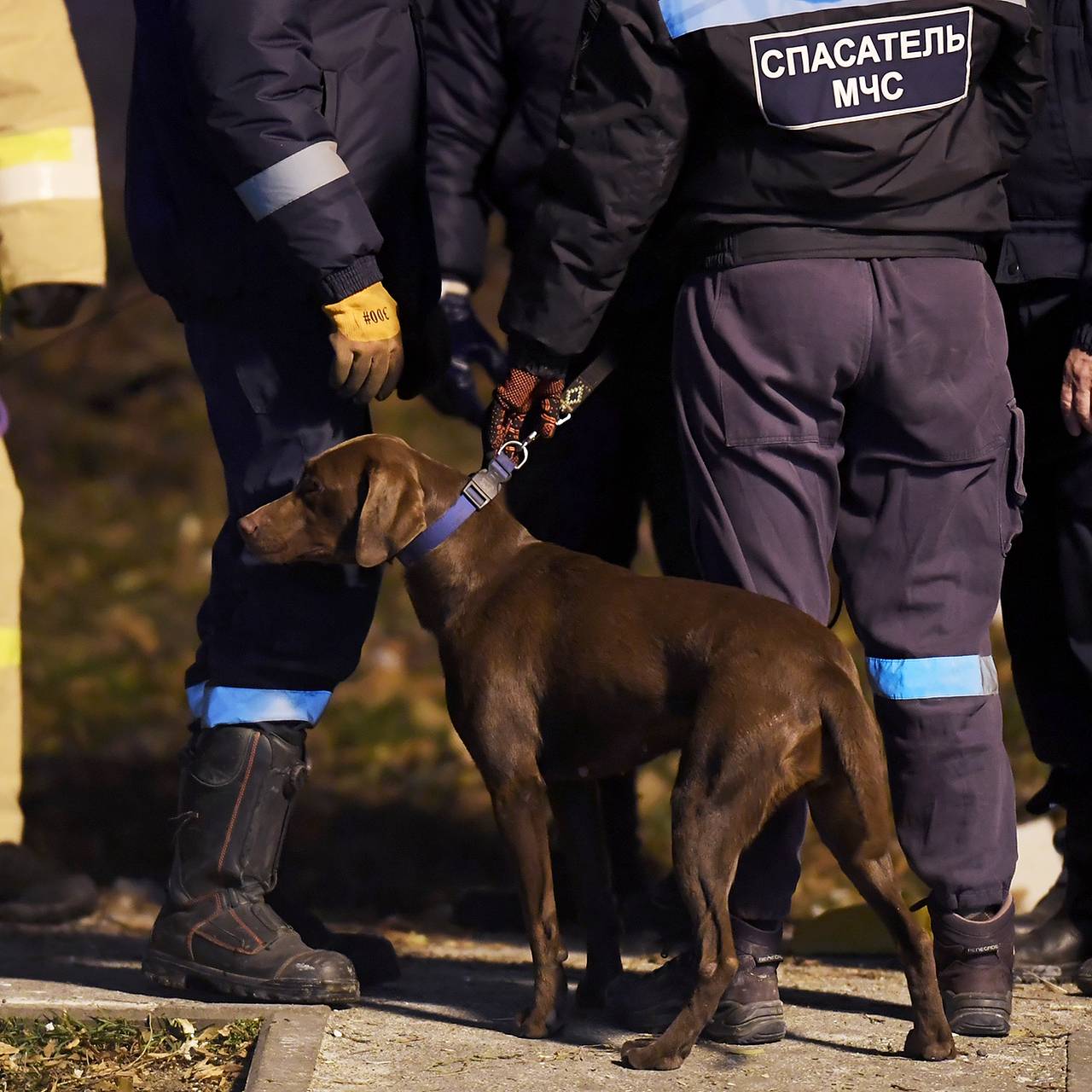 Власти обратились к жителям после пропажи трех детей под Москвой