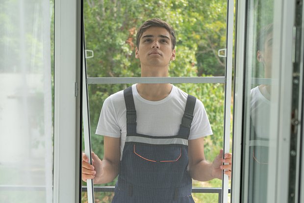 Вводная картинка