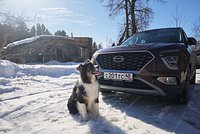 Народный кроссовер за три миллиона рублей. Чем радует и раздражает Solaris HC?