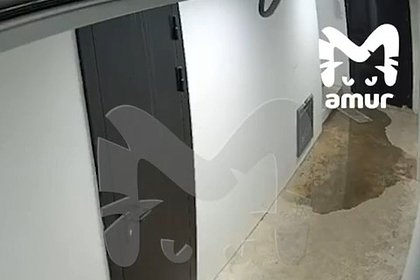 Новая многоэтажка в российском городе утонула в фекалиях