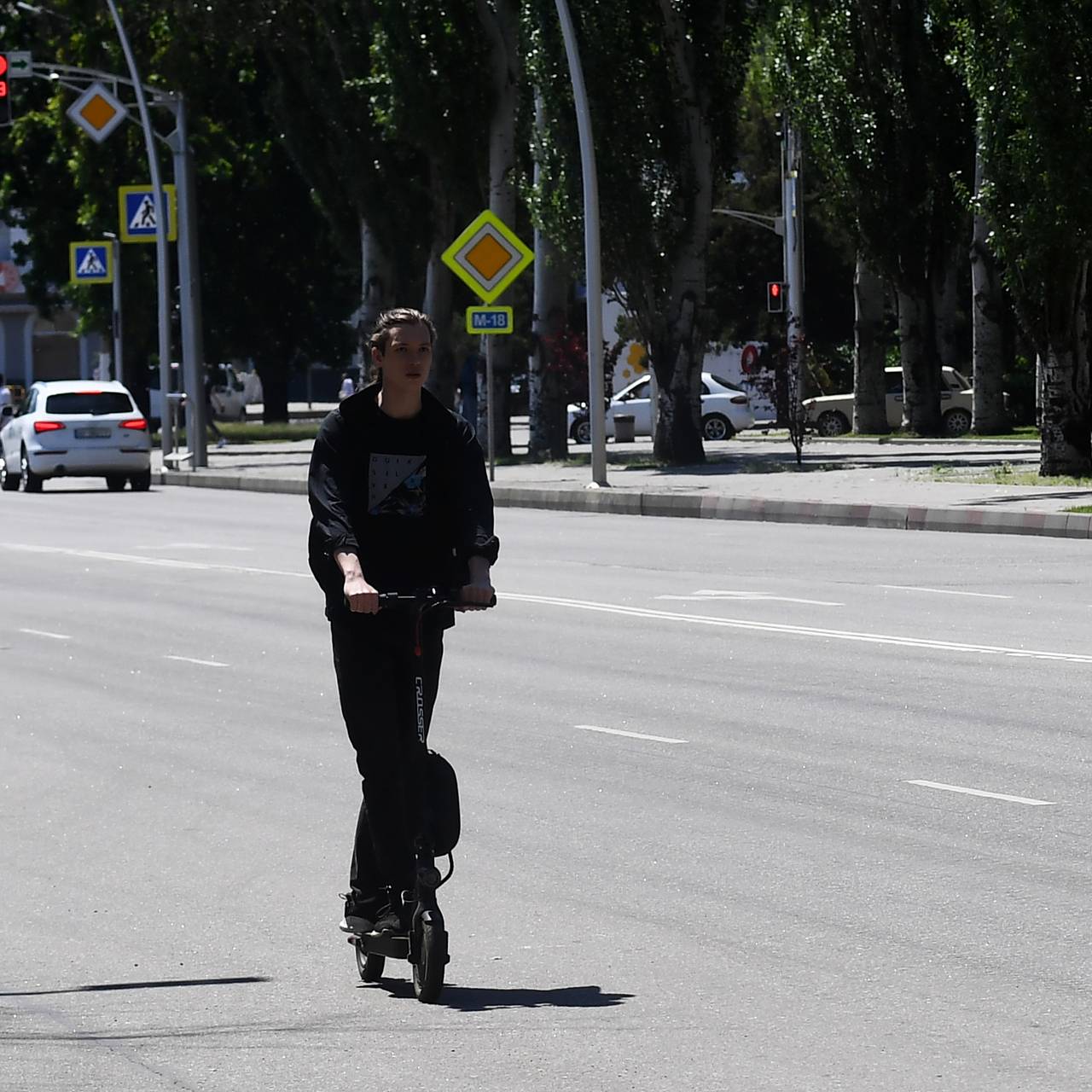 В России предложили официально признать водителями пользователей СИМ