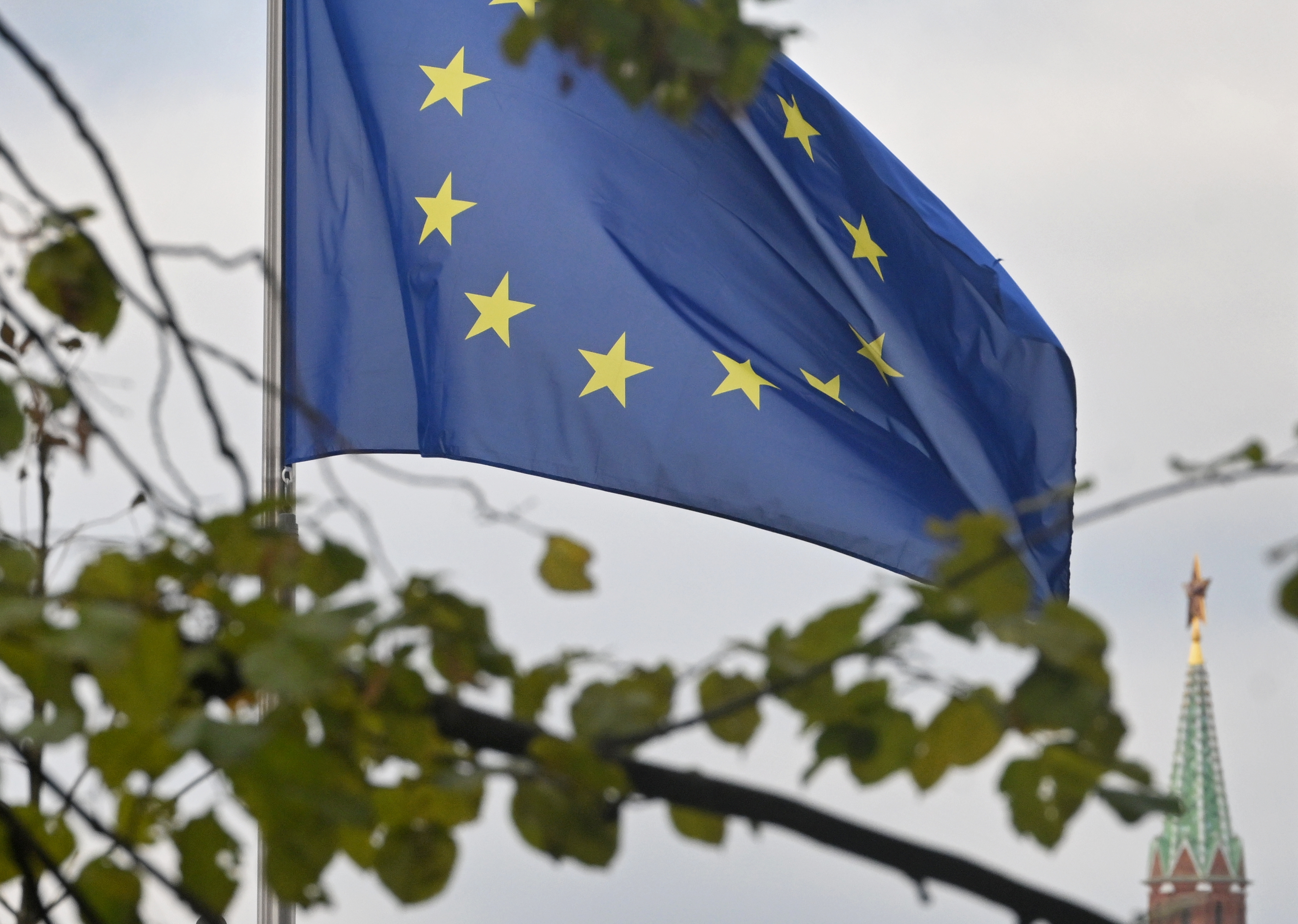 ��������&nbsp; �� ������� ������� �������� ������� ������� �� ������ ������