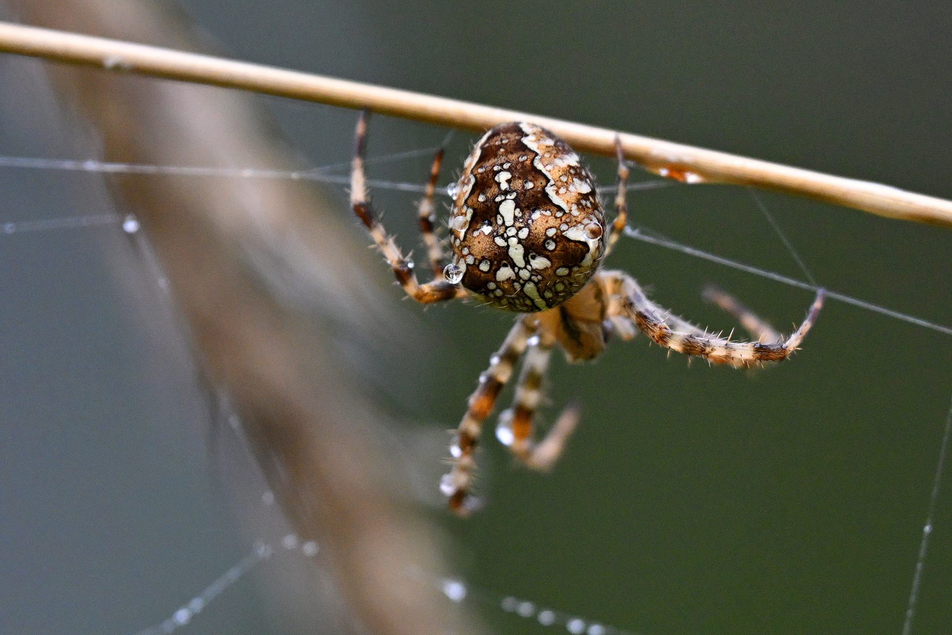 �&nbsp; ������ �������� �����