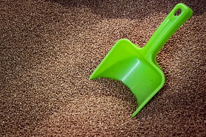 Блогерша описала российский магазин в Европе словами &laquo;цена на гречку &mdash; почти бесплатно&raquo;