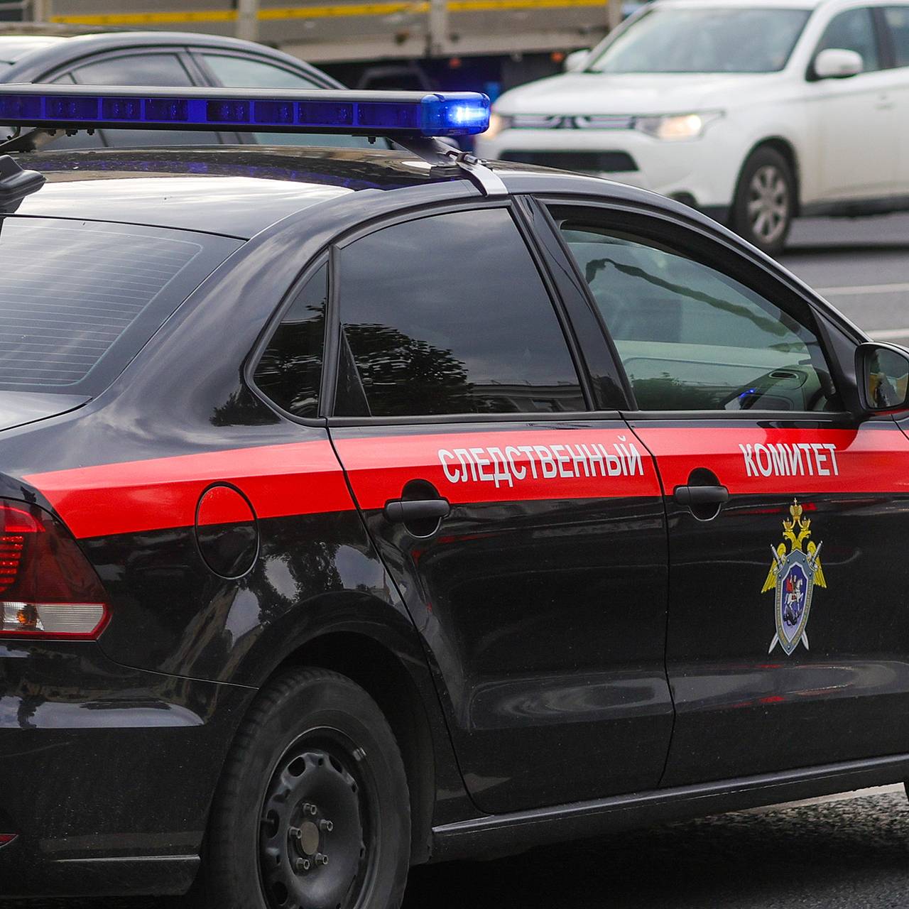 Следователи раскрыли детали произошедшей с детьми в Звенигороде трагедии