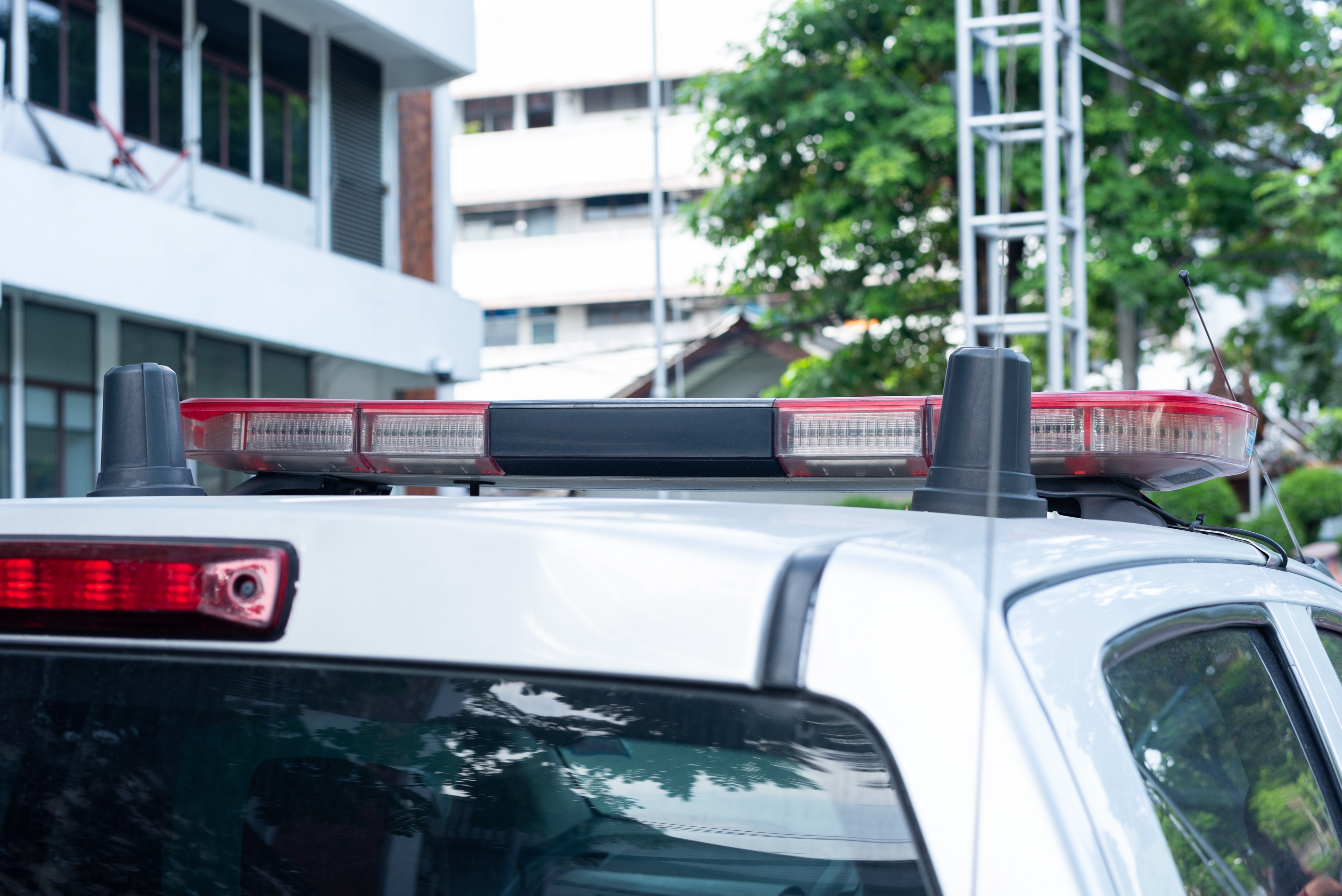 �����������&nbsp; ���������� ������������� �� ��������