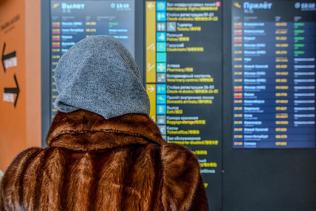 Вводная картинка