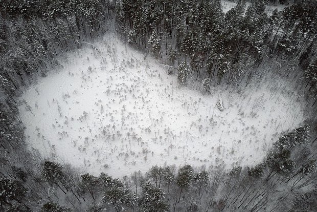 Вводная картинка