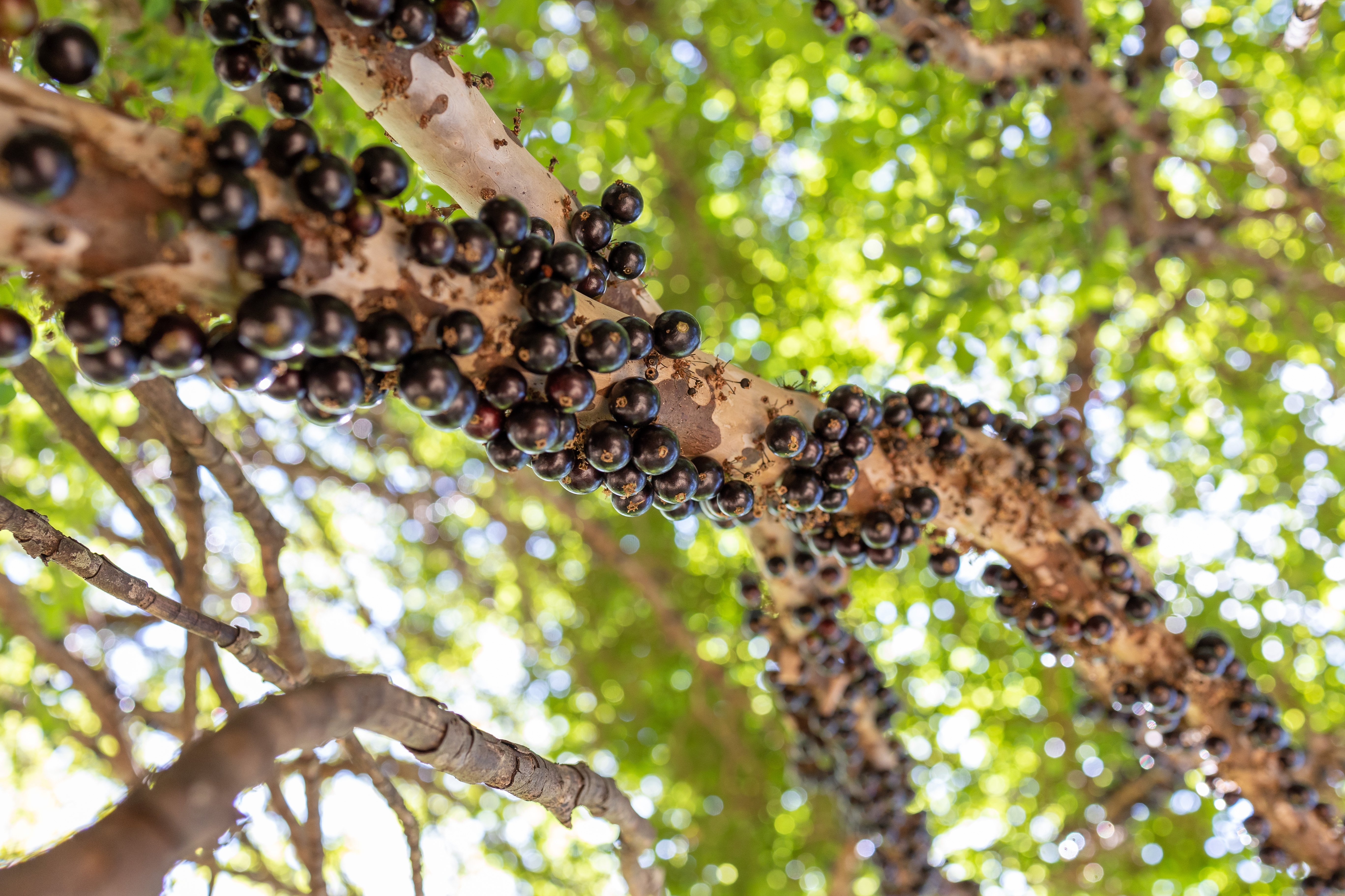 �������&nbsp; ����������� �������� ��� ����� � ��������� �����